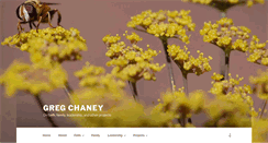 Desktop Screenshot of gregchaney.com